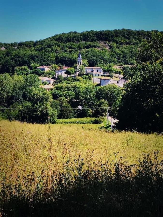Prune D'Ente - B&B Las Coussoulesses Anthé エクステリア 写真